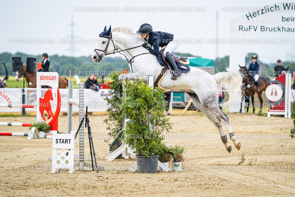 DSC07699 | Pferdegrafie