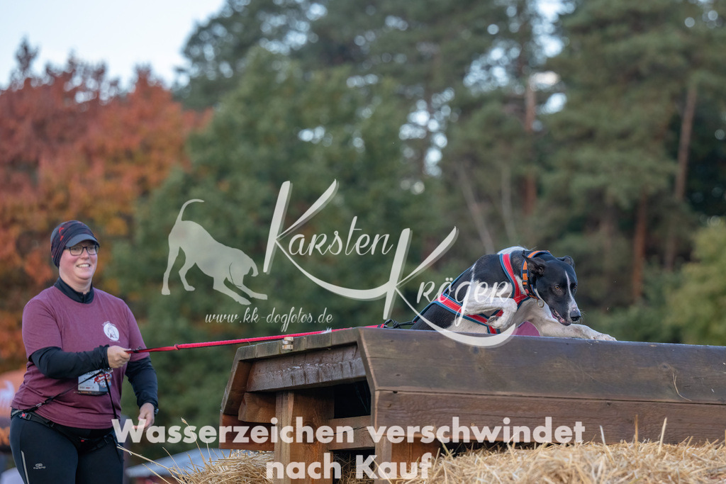 0826_ZZ90673-Bearbeitet | kk-dogfotos