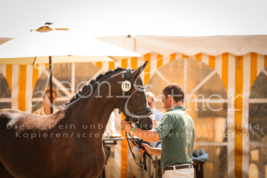 11.So00076 | Leoni Ertmer Photography - Realisiert mit Pictrs.com