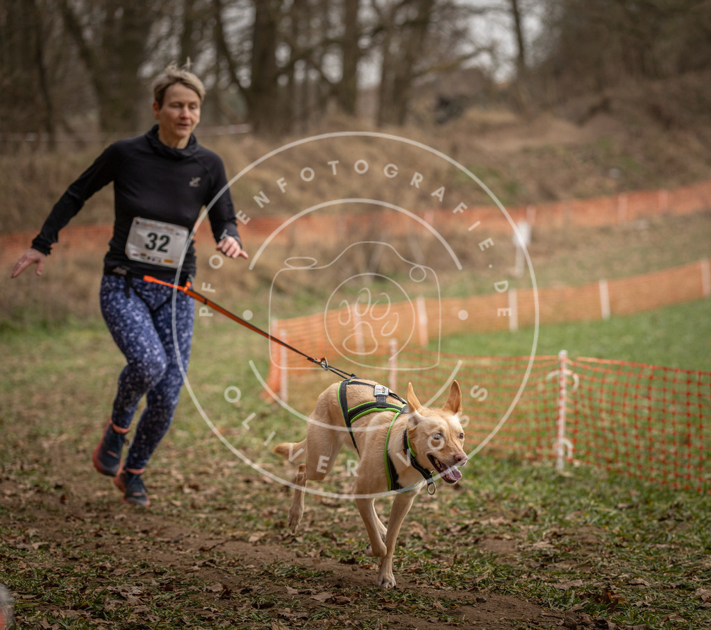 Pfotenfotografie_DV3A9129 | Hundefotografie, Tierfotograf, Pfotenfotografie, Fotoshooting Hund, Hunde Portrait, Hundesport, Hundeportraits, Heideshooting, Hunde, Sportfotograf, Hundefotograf, Turnierhundsport, THS,  - Realisiert mit Pictrs.com