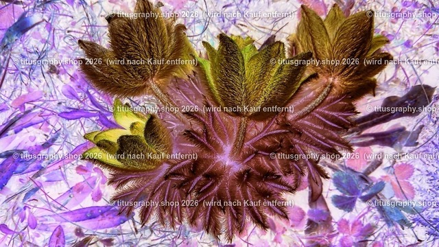 titusgraphy_IMG_20170409_084655-hdh-ln_pe_pe-05 | titusgraphy-shop: Geschenkideen mit Qualitätsfotos. titusgraphy-shop: gift ideas with quality photos. titusgraphy-shop: idées cadeaux avec photos de qualité.  - Realisiert mit Pictrs.com