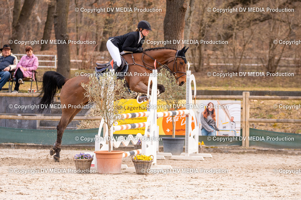 Kranichstein Tag 2-1309 | dv-media-shop - Realisiert mit Pictrs.com