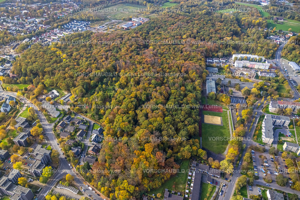 Bergkamen221013001 | Luftbild, Herbstwald Kleiweg, Städt. Gymnasium Bergkamen, Weddinghofen, Bergkamen, Ruhrgebiet, Nordrhein-Westfalen, Deutschland