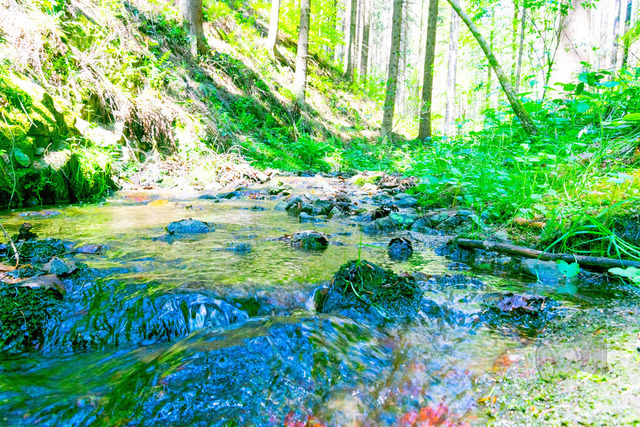 _DSC3633 | Shop für Prints Landschaftsfotografie Sächsische Schweiz Naturfotografie in Thüringen Fotos vom Findlingspark Nochten Kloster Sankt Marienstern Bilder Festung Königstein PanoramaRhododendronpark Kromlau FotogalerSchleswig-Holstein Küstenlandschaften