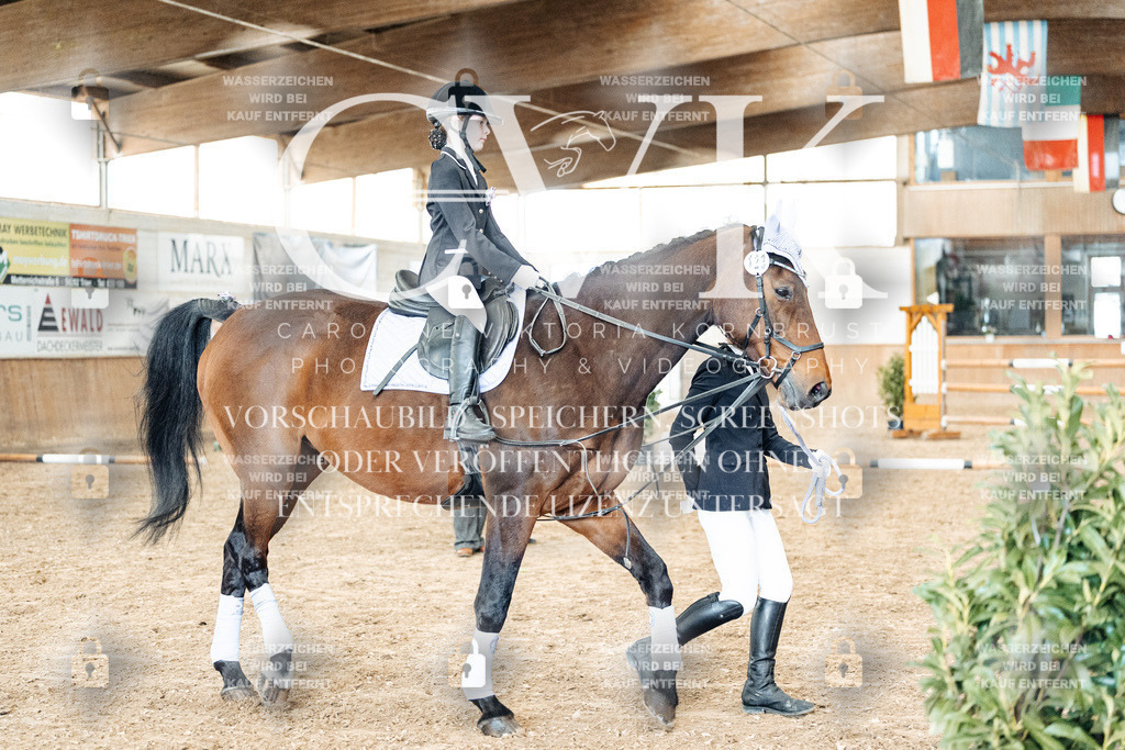 CK905905 | Turnierfotografie Pferdefotografie Trier Rheinland-Pfalz Pferdesport Reitsport Tierfotografie Sportfotografie Pferdevideo Pferdevideografie Equestrianvideography equestrianphotography  - Realized with Pictrs.com