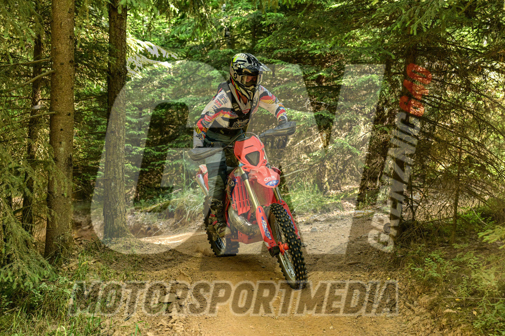 NZ8_1377 | grenznic640