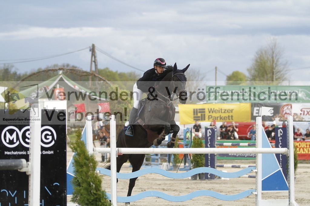 _MG_7776 | equestrian-live-com