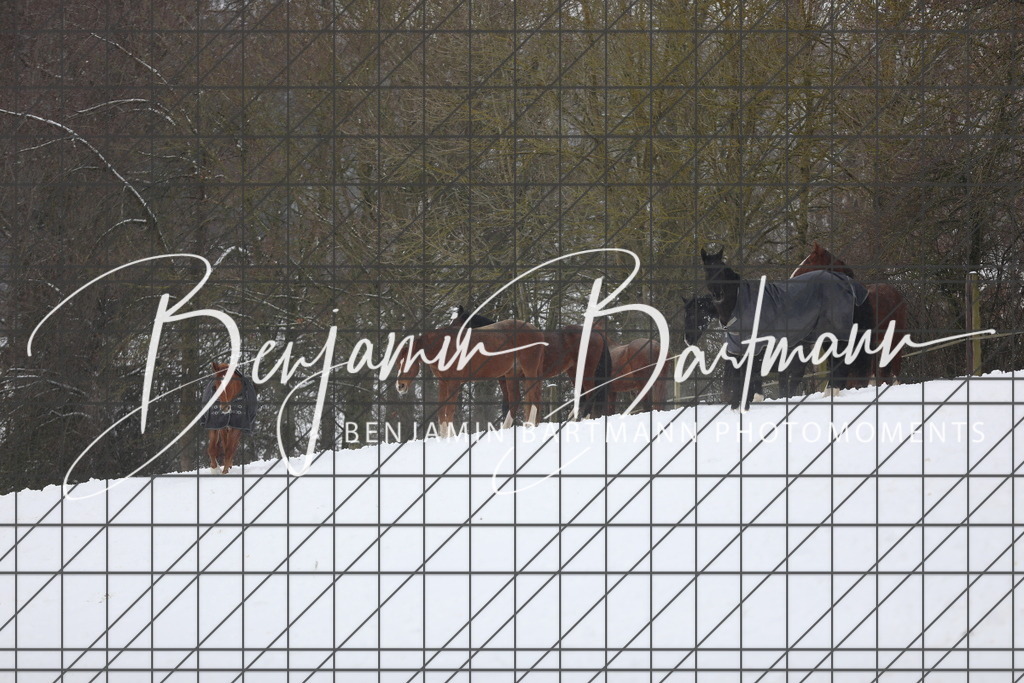 AZ2A3394 | Benjamin Bartmann Photomoments