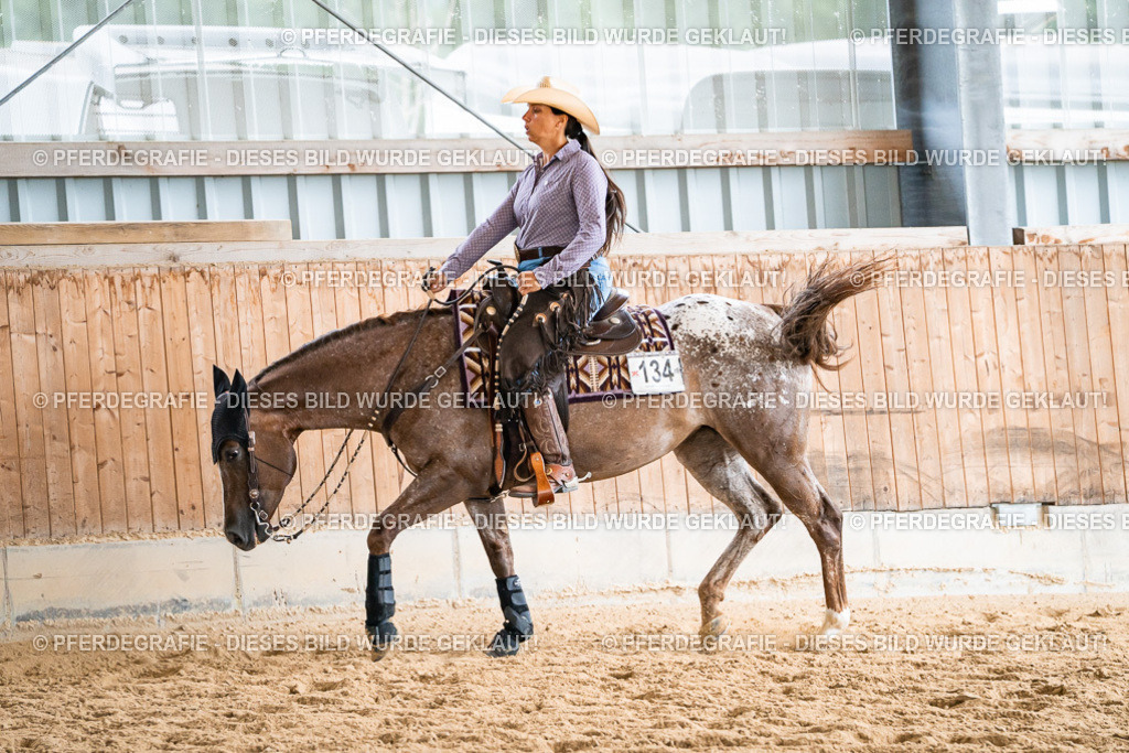 DSC00612 | Pferdegrafie