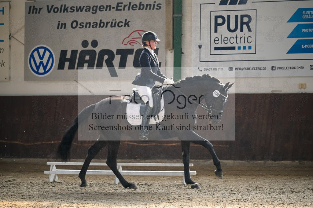 Reitturnier Voxtrup | Entdecke hochwertige Reitturnierfotos von Foto Oger. Professionell, emotional und authentisch – jetzt Lieblingsmomente im Shop bestellen.Deutschlandweite Turnierfotografie. - Realisiert mit Pictrs.com