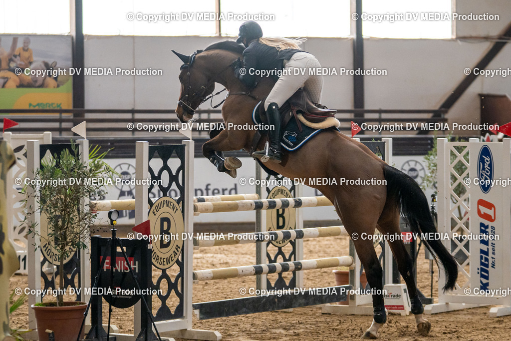 Kranichstein Tag 2-635 | dv-media-shop - Realisiert mit Pictrs.com