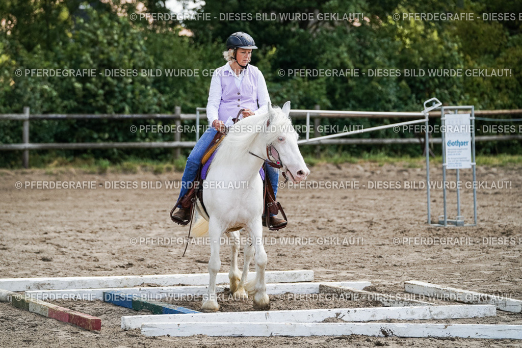 DSC07163 | Pferdegrafie