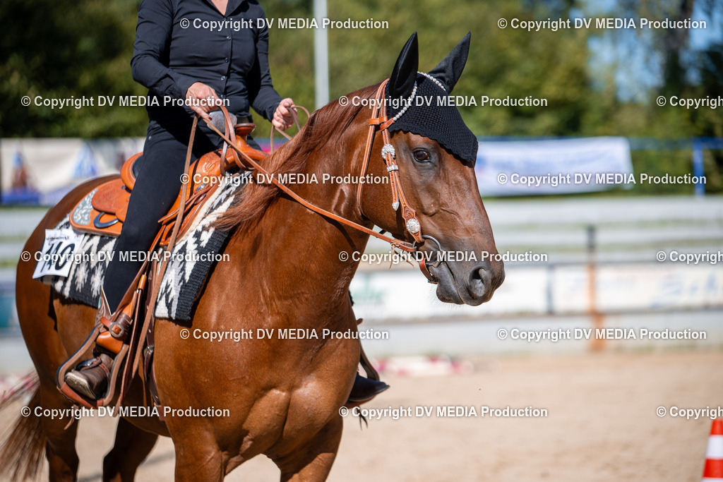 ZS1_0849 | dv-media-shop - Realisiert mit Pictrs.com