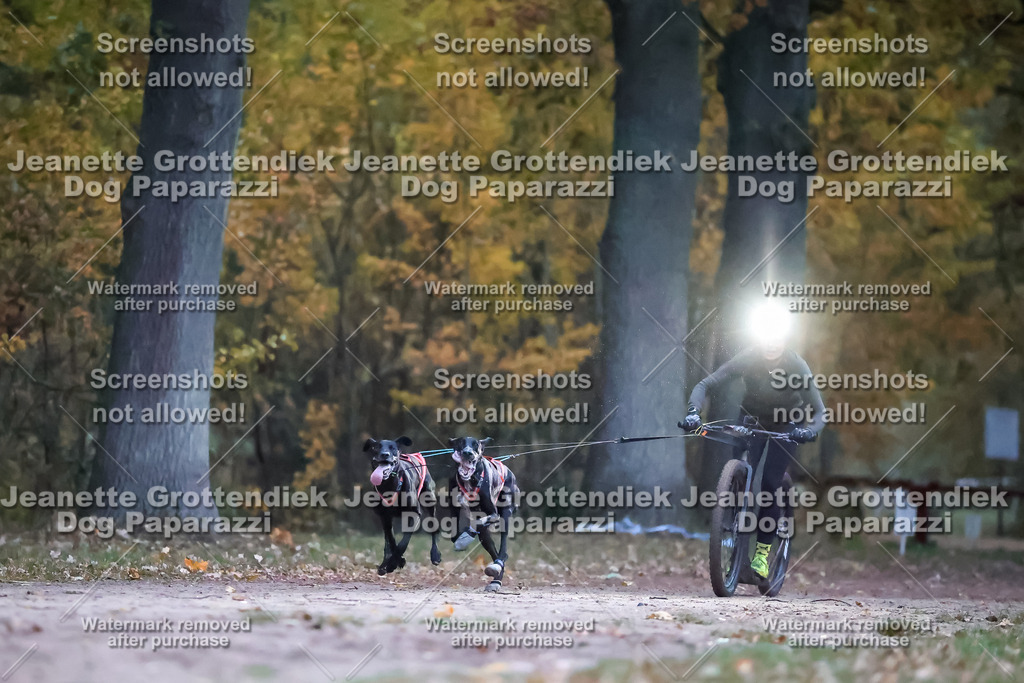 Dog Paparazzi - SD CaniX Championship 2025 | Dog Paparazzi Jeanette Grottendiek Fotografie & Videografie - Realisiert mit Pictrs.com