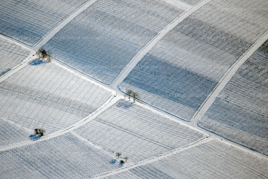 4043278 | winterliche Weinbergstrukturen auf der Weininsel zw. Schwarzach und Nordheim, Weinlage Katzenkopf