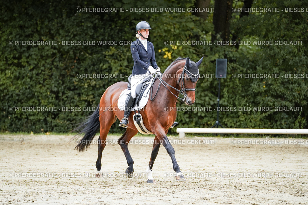 DSC09254 | Pferdegrafie