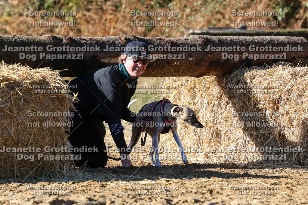 Dog Paparazzi - Strongdog 10-25-2332 | Dog Paparazzi Jeanette Grottendiek Fotografie & Videografie - Realisiert mit Pictrs.com