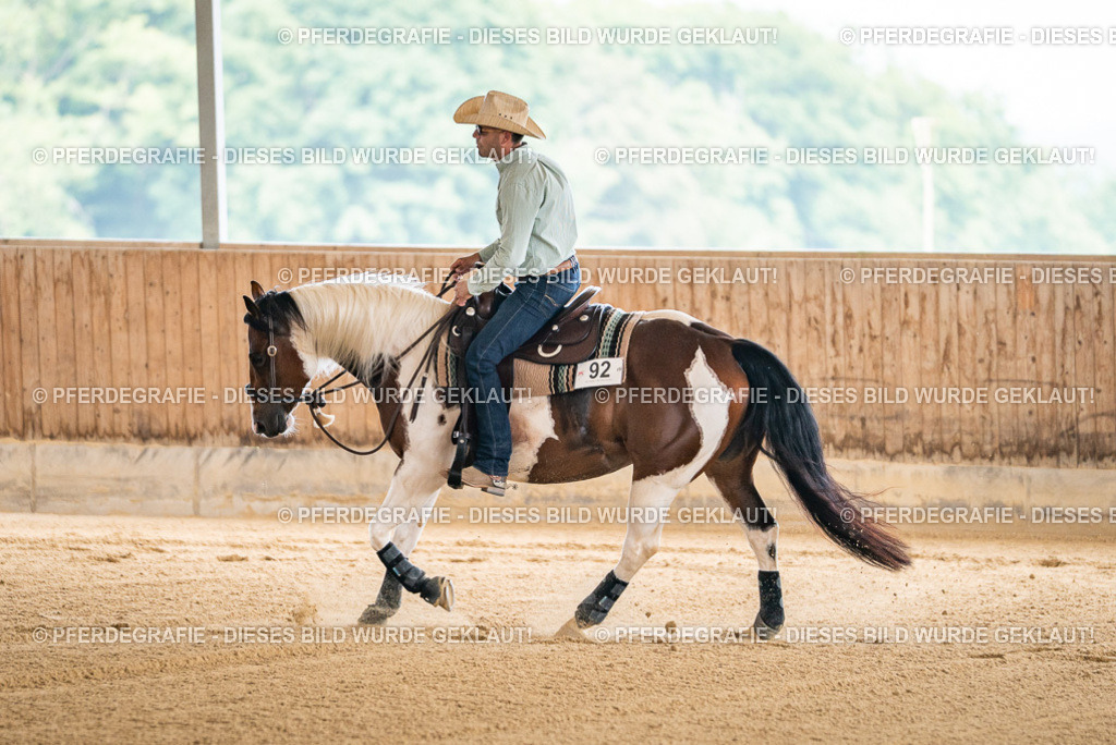 DSC04083 | Pferdegrafie