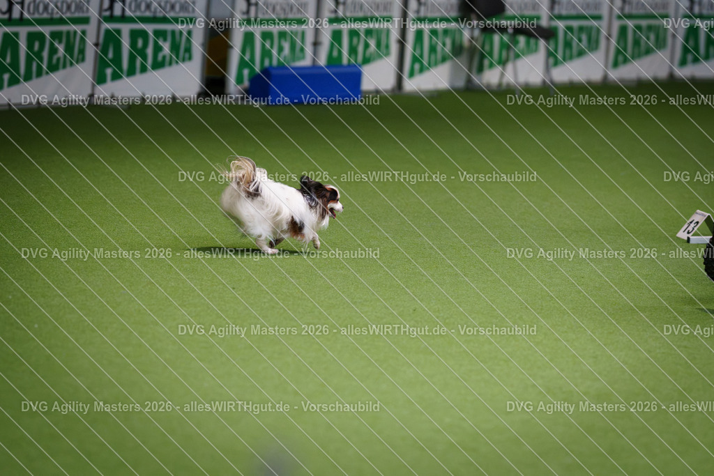 allesWIRTHgut_Tierfotografie-DVG_Agility_Masters_2026-08_42-7R501224 | Professionelle Tierfotografie in Mönchengladbach von Daniel Wirth (allesWIRTHgut). Liebevolle & natürliche Bilder von Hunden & Katzen für unvergessliche Erinnerungen.