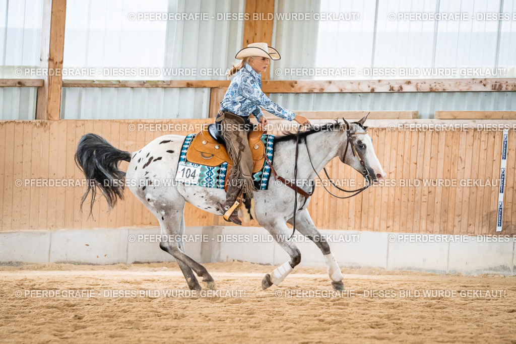 DSC03161 | Pferdegrafie