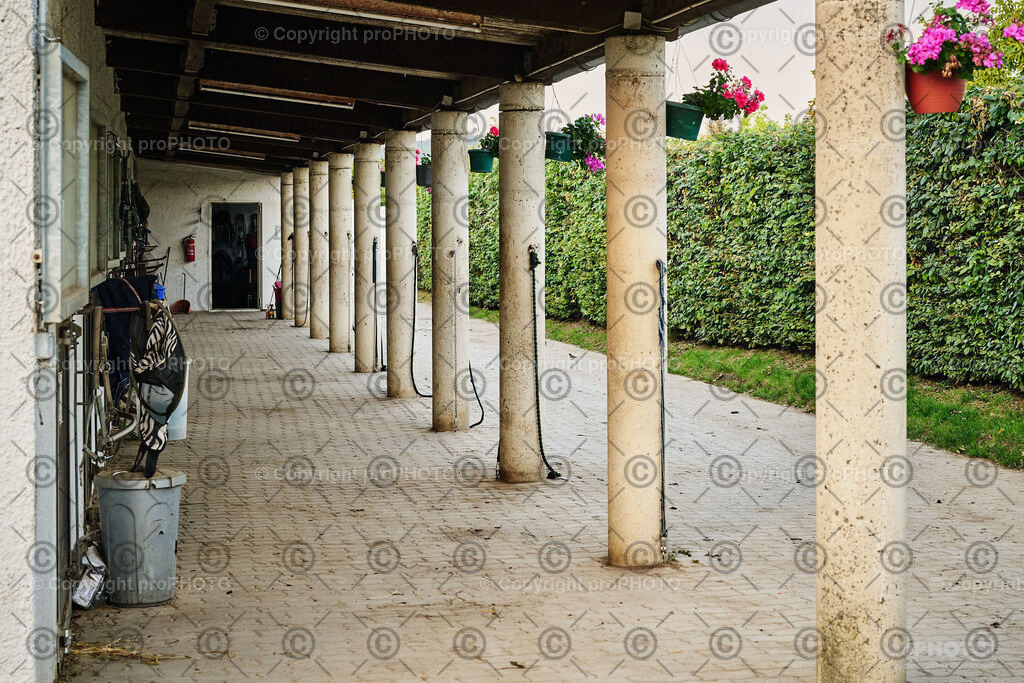 437_202406_Niki-Herodes_NZ9_0550 | proPHOTO - Realisiert mit Pictrs.com