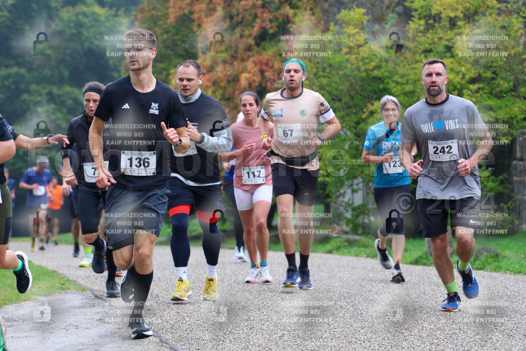 R6_ (217) | la-psv - Realisiert mit Pictrs.com