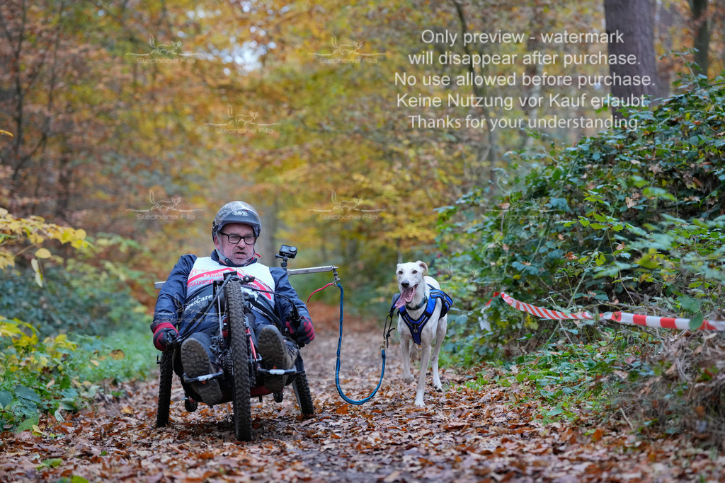 Scooter_So-52 | stephaniefillaphotographie - Realisiert mit Pictrs.com