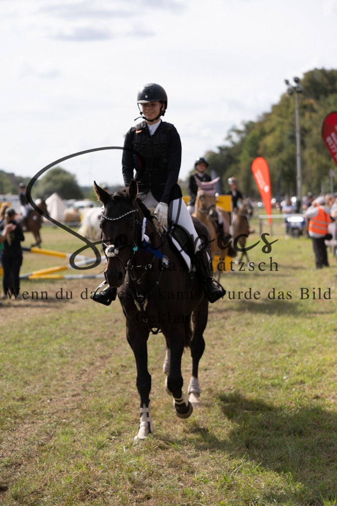 A7V08722 | Pferdefotograf