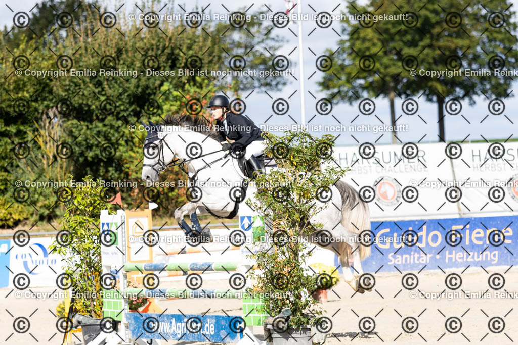 CL5A1475 | Emilia Reinking Fotografie - Realisiert mit Pictrs.com