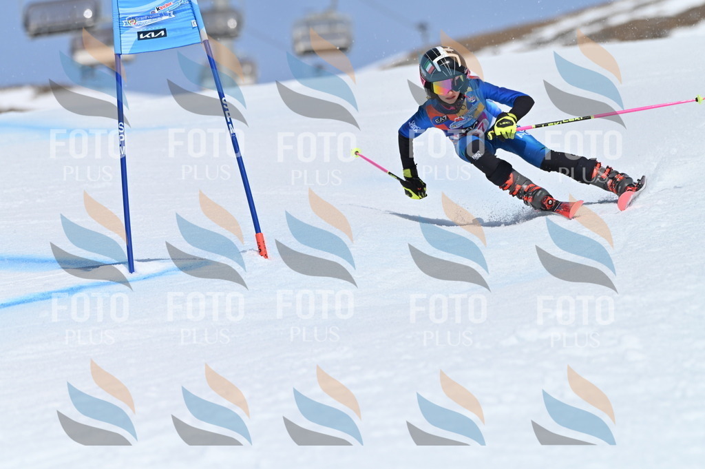 BGV_0181 | holidayphoto