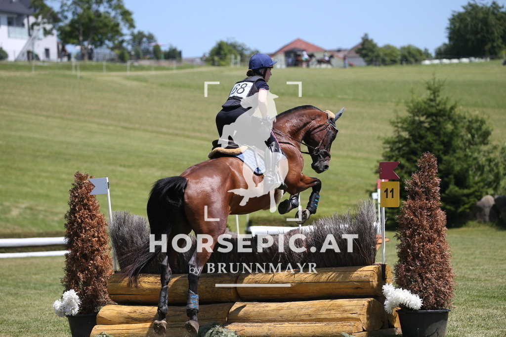 DL2Q1057 | Willkommen bei Brunnmayr - Design & Fotografie – Ihrem Spezialisten für Reitturniere und Pferdeveranstaltungen in Oberösterreich, Salzburg und Bayern! Seit über 17 Jahren sind wir leidenschaftlich dabei.