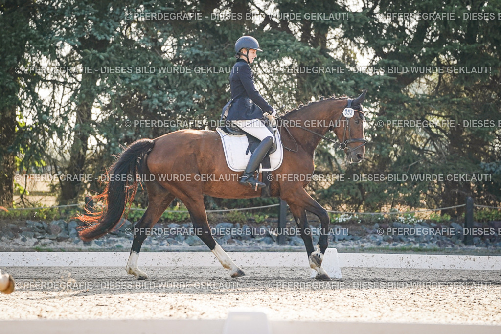 DSC07925 | Pferdegrafie