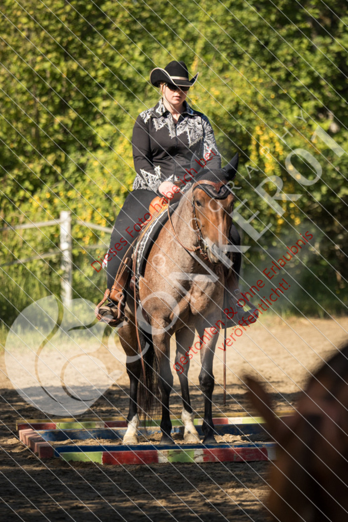 IMG_7213 | Sport-, Event- und Tierfotos in Profiqualität. Einfach auswählen, bestellen und herunterladen. Dein Moment – perfekt festgehalten.