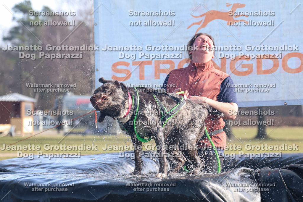 Dog Paparazzi - Strongdog North Mrz26-1061 | Dog Paparazzi Jeanette Grottendiek Fotografie & Videografie - Realisiert mit Pictrs.com