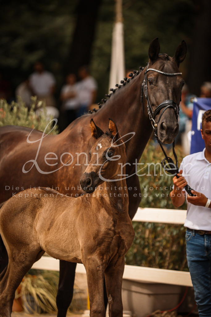 SaPA00060 | Leoni Ertmer Photography - Realisiert mit Pictrs.com