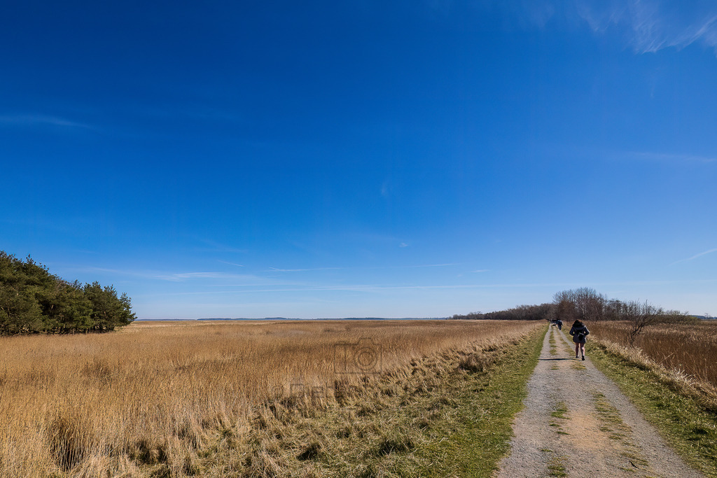 P1003461-Bearbeitet-2022-LR | Natur im Moment - Realisiert mit Pictrs.com