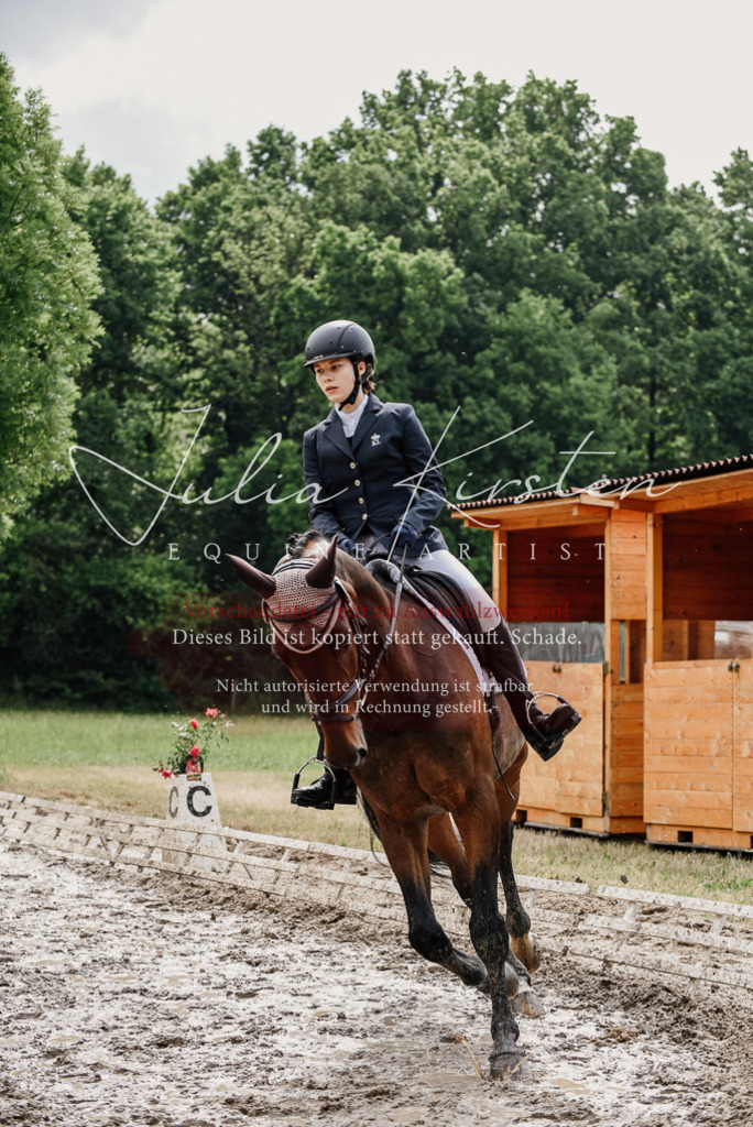 DSC_9576 | Pferde- und Turnierfotografie in Westsachsen. Pferdeportraits, Auftragszeichnungen und intuitive Kunst.