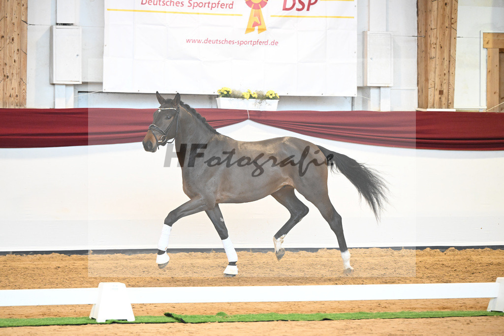 Kat-Nr. 43 v. Mykonos_Sommer_66220966 | hf-fotografie - Realisiert mit Pictrs.com