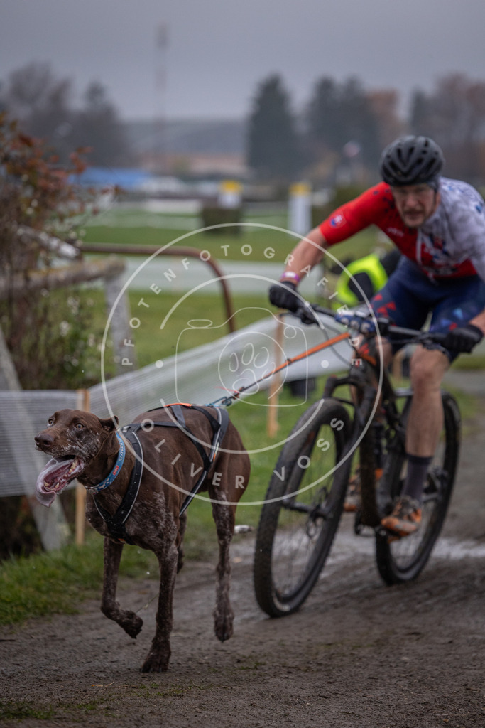 CaniXpix_0L8A1094 | Hundefotografie, Tierfotograf, Pfotenfotografie, Fotoshooting Hund, Hunde Portrait, Hundesport, Hundeportraits, Heideshooting, Hunde, Sportfotograf, Hundefotograf, Turnierhundsport, THS,  - Realisiert mit Pictrs.com