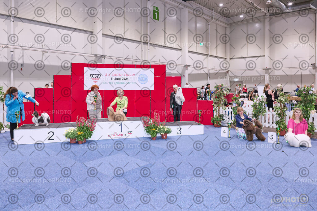 202406_ÖKV-IHA-Tulln24_NZ9_8743 | proPHOTO - Realisiert mit Pictrs.com