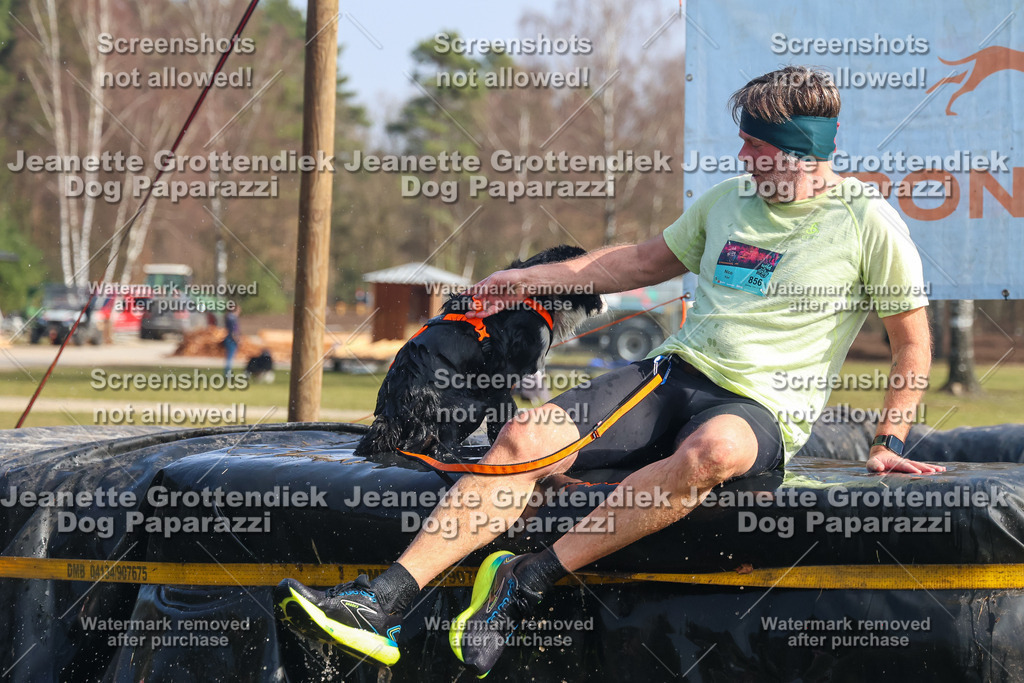 Dog Paparazzi - Strongdog North Mrz26-1995 | Dog Paparazzi Jeanette Grottendiek Fotografie & Videografie - Realisiert mit Pictrs.com