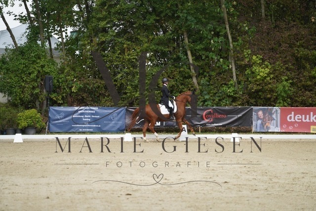 VAN02063 | Marie Giesen Fotografie - Realisiert mit Pictrs.com