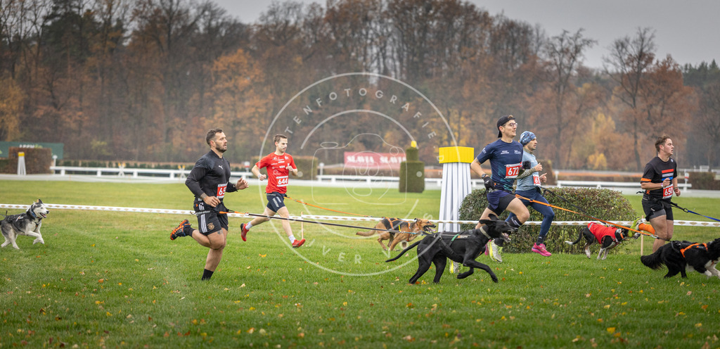 CaniXpix_DV3A9523 | Hundefotografie, Tierfotograf, Pfotenfotografie, Fotoshooting Hund, Hunde Portrait, Hundesport, Hundeportraits, Heideshooting, Hunde, Sportfotograf, Hundefotograf, Turnierhundsport, THS,  - Realisiert mit Pictrs.com