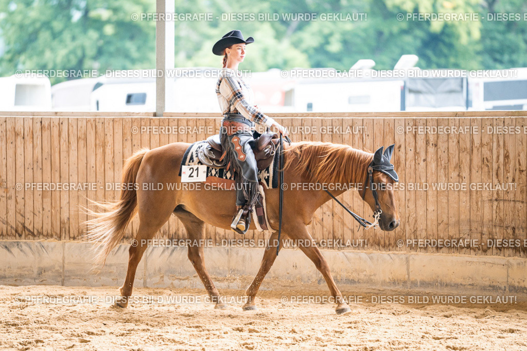 DSC00716 | Pferdegrafie