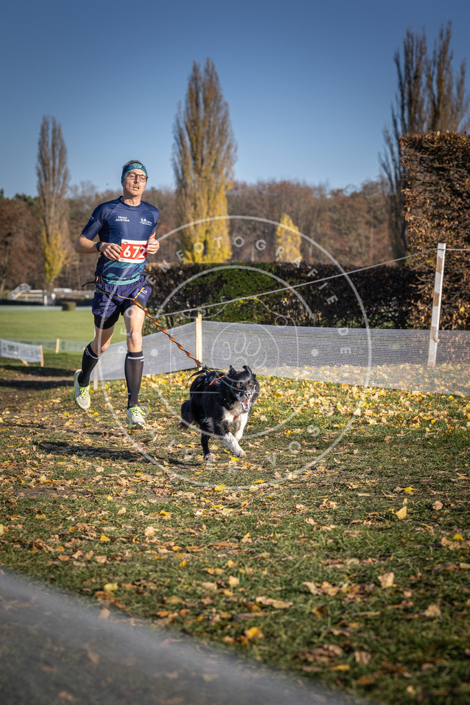 CaniXpix_DV3A0894 | Hundefotografie, Tierfotograf, Pfotenfotografie, Fotoshooting Hund, Hunde Portrait, Hundesport, Hundeportraits, Heideshooting, Hunde, Sportfotograf, Hundefotograf, Turnierhundsport, THS,  - Realisiert mit Pictrs.com