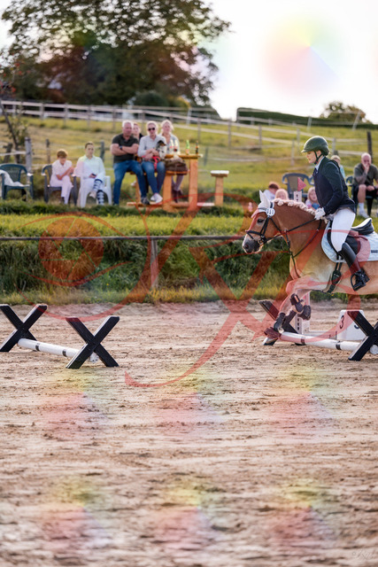 2026_10_03_Siefer-Hof_145456_Z81_35175594 | Professionelle Reitsport-, Turnier- und Eventfotografie von Robert Broda. Galerien mit ausgewählten und bearbeiteten Bildern direkt online ansehen und bestellen.