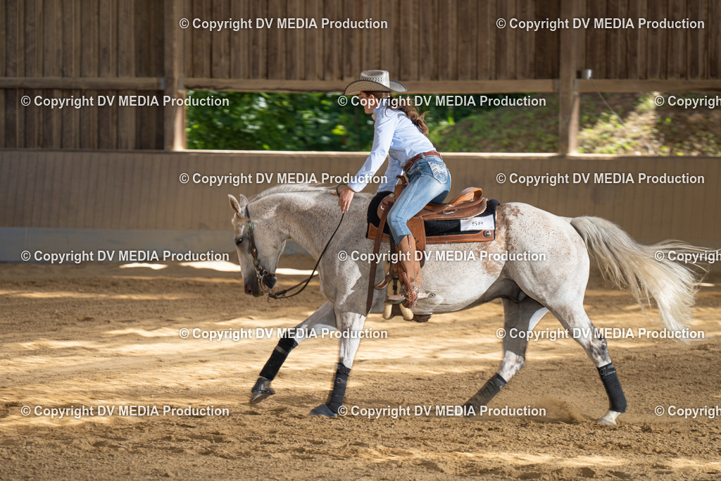 DSC00174 | dv-media-shop - Realisiert mit Pictrs.com