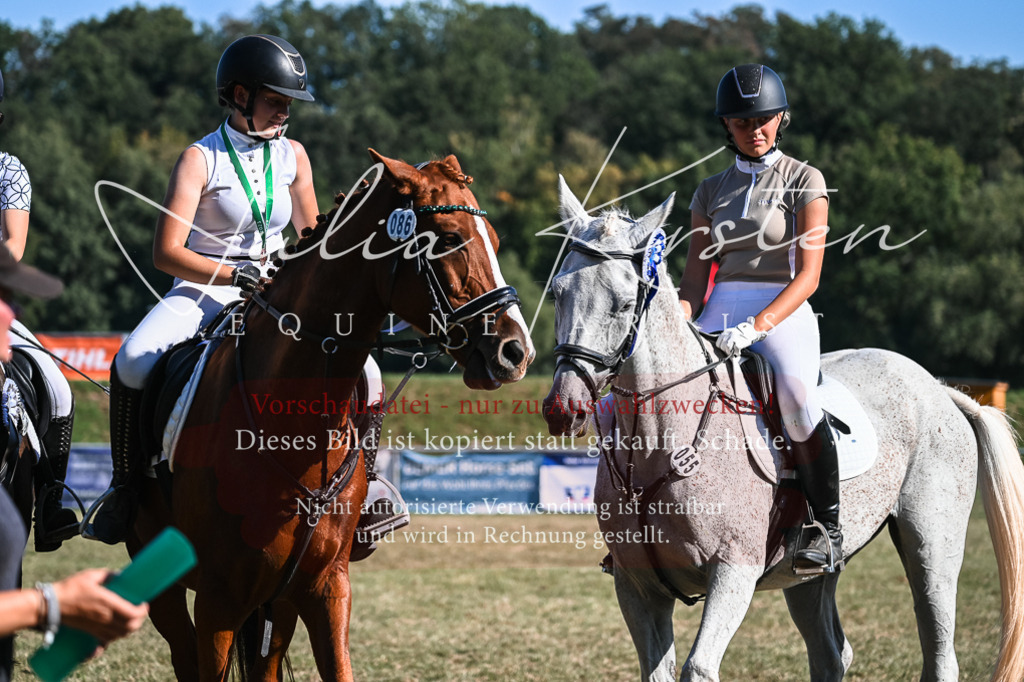 DSC_7130 | Pferde- und Turnierfotografie in Westsachsen. Pferdeportraits, Auftragszeichnungen und intuitive Kunst.