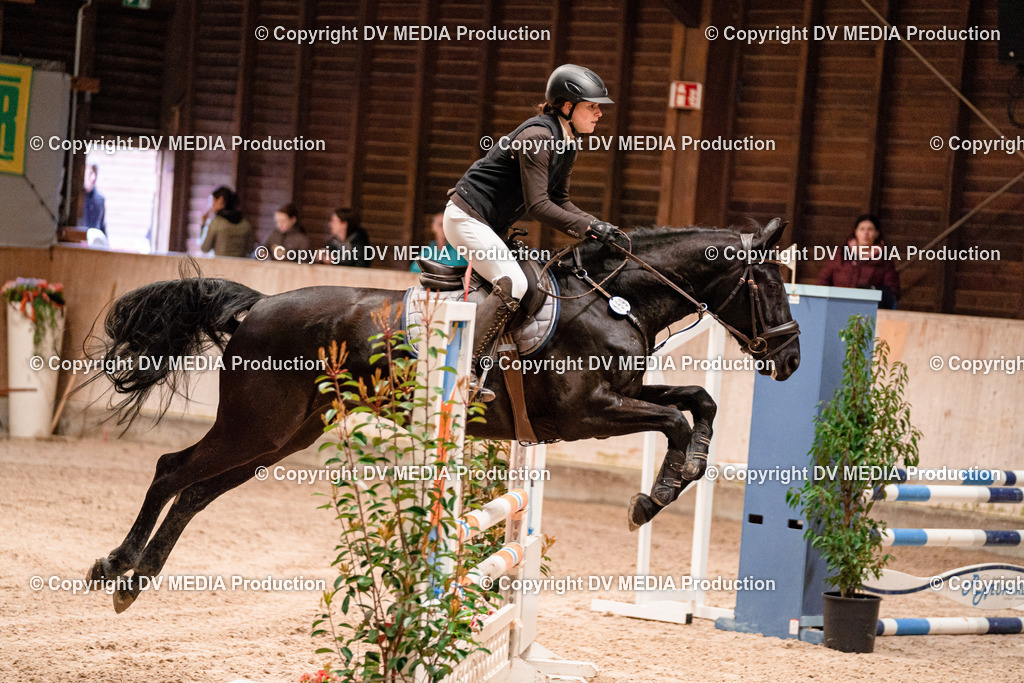 Springen Tag 2-495 | dv-media-shop - Realisiert mit Pictrs.com