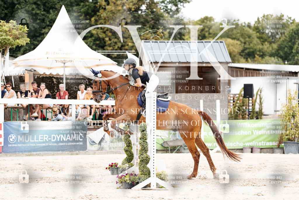 CK908355 | Turnierfotografie Pferdefotografie Trier Rheinland-Pfalz Pferdesport Reitsport Tierfotografie Sportfotografie Pferdevideo Pferdevideografie Equestrianvideography equestrianphotography  - Realisiert mit Pictrs.com